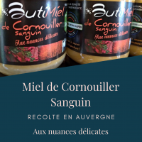 Miel de cornouiller sanguin 